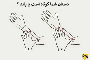 تست شخصیت شناسی | دست شما بلنده یا کوتاه؟ | این موضوع شخصیت شمارو به بقیه لو میده