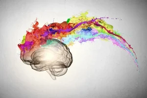 تست شخصیت شناسی | این تست معتبر رو انجام بده تا بگم چطوری زندگی کردی و در آینده چطور زندگی میکنی