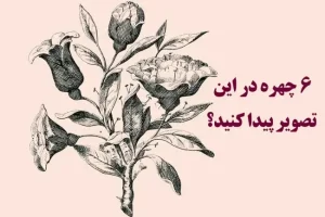 تست هوش و معما | فقط یک نابغه می تواند هر 6 چهره مخفی در این تصویر را پیدا کند؟ + پاسخ