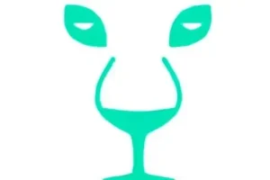 تست شخصیت شناسی | با انجام این تست بزرگترین زخم که تو کودکی روی روحت مونده را بشناس