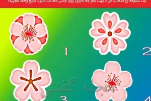 یک شکوفه رو انتخاب کن تا بدونی تاثیرت رو جنس مخالف چیه | تست شخصیت شناسی