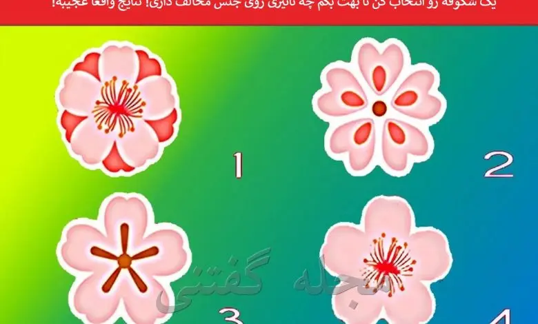 یک شکوفه رو انتخاب کن تا بدونی تاثیرت رو جنس مخالف چیه | تست شخصیت شناسی