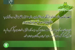دعای روز بیست و نهم ماه مبارک رمضان | دعای امروز ماه رمضان به همراه ترجمه کامل + صوت زیبا