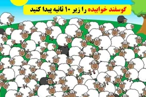 تست هوش | زیر ده ثانیه بره خوابیده را پیدا کنید چشمتون خیلی تیزه