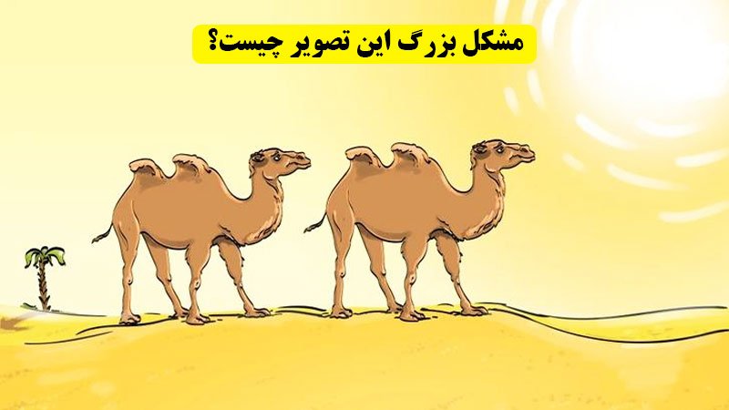 تست هوش