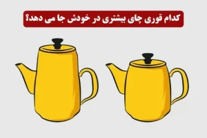 تست هوش | فقط یک نابغه میتونه بگه کدوم کتری آب بیشتری در خود جا می دهد؟ + پاسخ