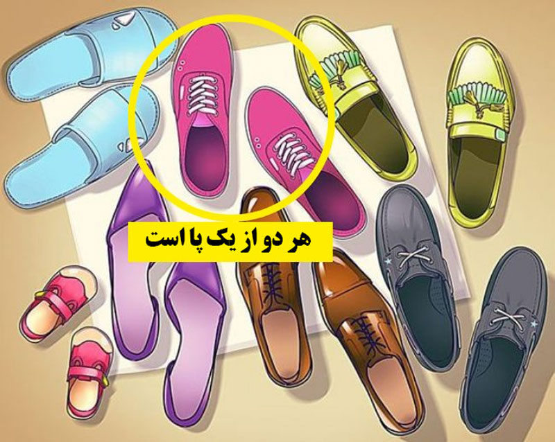 تست هوش