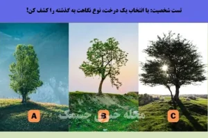 تست شخصیت شناسی | یک درخت نشون میده که تو بچگی چقدر سختی کشیدی