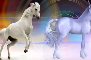 تست شخصیت شناسی | این تست رو انجام بده تا بگم عشقت آدم خوش بین یا بدبینی هستش!