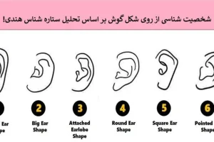 تست شخصیت شناسی | فرم گوشت تمام شخصیتت رو لو میده + تفسیر کامل