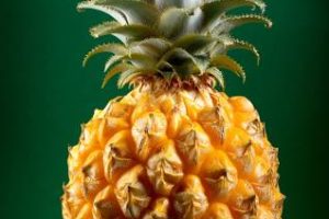 مصرف کنندگان این میوه به بیماری های خونی تا 100 سالگی دچار نمی شوند + صفر شویی کل خون بدن