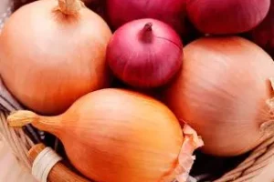 با پیاز به جنگ پیری بروید | پوستی صاف و بدون لک و بدنی سالم با مصرف پیاز