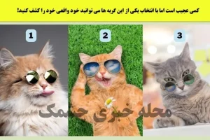 تست شخصیت شناسی | یکی از این گربه های جذابو انتخاب کن تا بگم از نظر عشقت چقدر جذابی