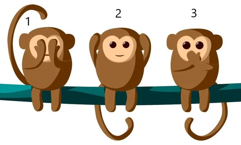 تست شخصیت شناسی | یک میمون خردمند انتخاب کن تا بیشتر به هوش اجتماعیت پی ببری