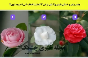 تست شخصیت شناسی | میخوای بدونی عشقت برای رسیدن به تو مصمم و جدیه یا نه این تست رو انجام بده