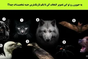 تست شخصیت شناسی | تاریک بخش وجودت که از بقیه قایم میکنی با انتخاب یکی از این حیوونا لو میره