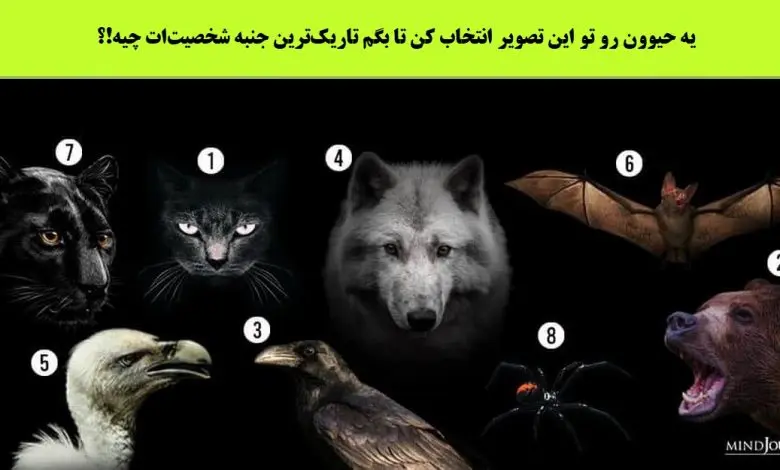 تست شخصیت شناسی | تاریک بخش وجودت که از بقیه قایم میکنی با انتخاب یکی از این حیوونا لو میره