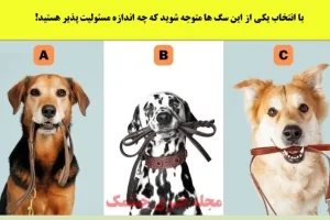 تست شخصیت شناسی | میخوای بدونی عشقت چقدر مسئولیت پذیره؟ این تست رو انجام بده