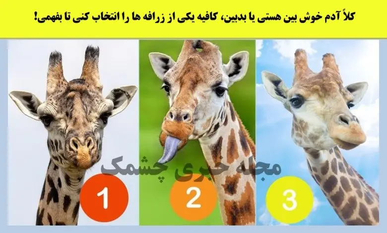 تست شخصیت شناسی | یکی از زرافه هارو انتخاب کن تا بگم عشقت تو رابطه بد بین یا خوش بینه