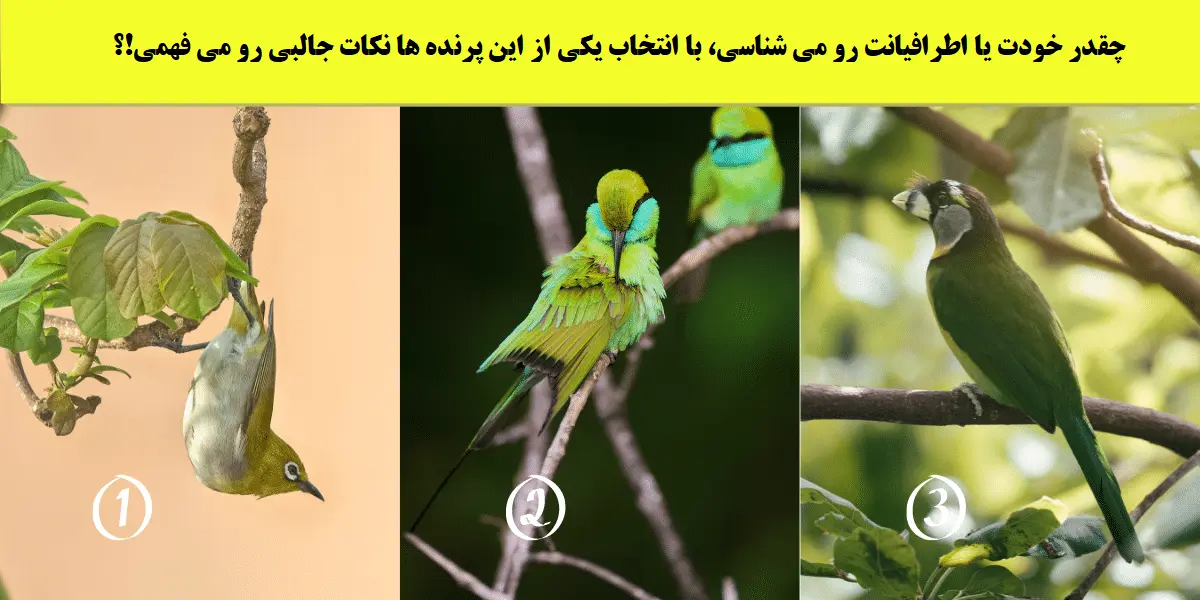 تست شخصیت شناسی | این تست رو انجام بده و به شخصیت واقعی اطرافیانت پی ببر