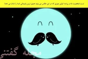 تست شخصیت شناسی | اولین چیزی که در این عکس می بینید عمیق ترین پشیمانی شما را نشان می دهد!