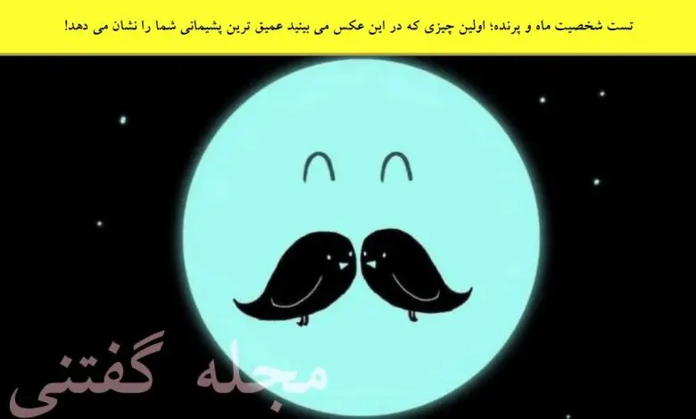 تست شخصیت شناسی | اولین چیزی که در این عکس می بینید عمیق ترین پشیمانی شما را نشان می دهد!