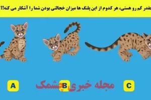 تست شخصیت شناسی | این تست رو انجام بده تا بگم میتونی حقتو بگیری یا آدم ضعیفی هستی
