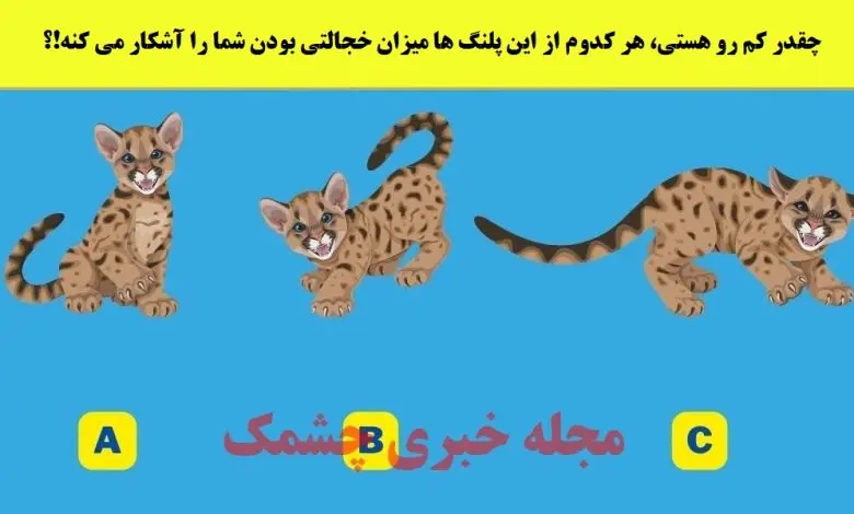تست شخصیت شناسی | این تست رو انجام بده تا بگم میتونی حقتو بگیری یا آدم ضعیفی هستی