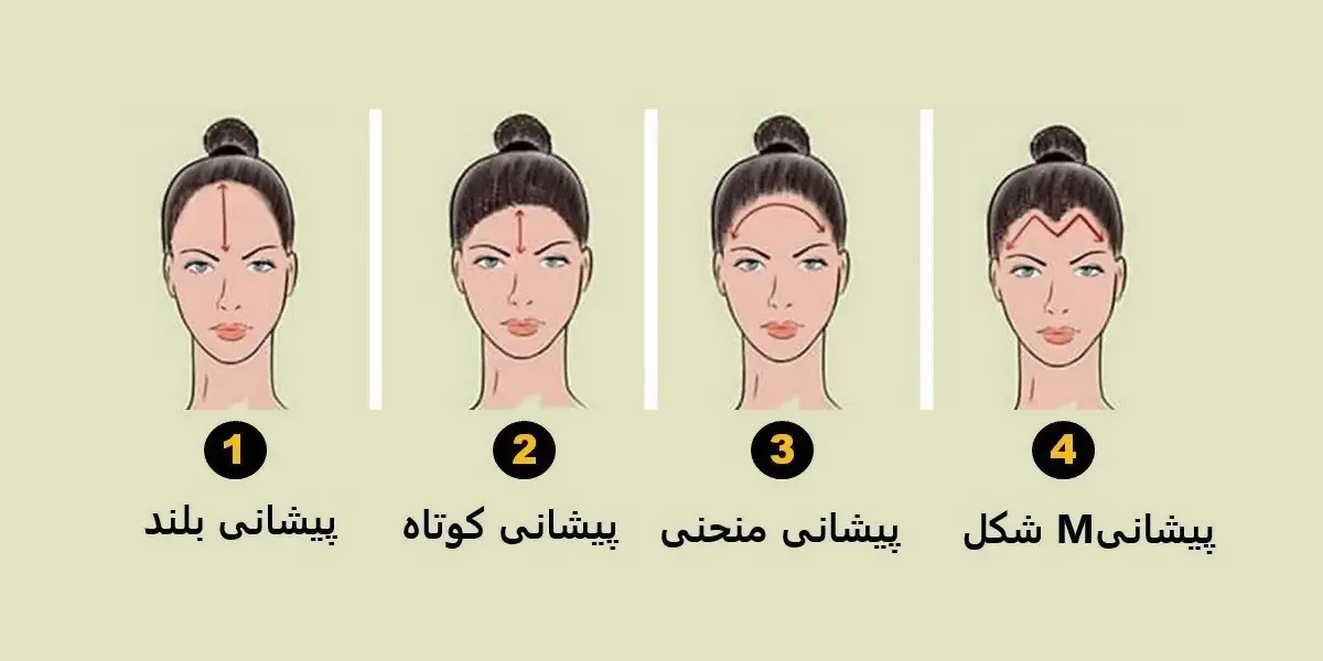 تست شخصیت شناسی | شکل پیشانی شما رازهایتان را لو میدهد | با انجام این تست به شخصیت خود و دیگران بیشتر پی ببرید