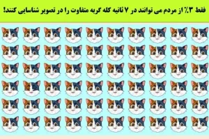 تست هوش | فقط 3 درصد آدما تونستن زیر 7 ثانیه گربه متفاوت رو پیدا کنند