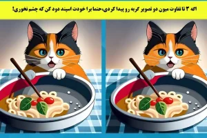 تست هوش | سه تفاوت خیلی ریز این دو عکس رو پیدا کن + جواب