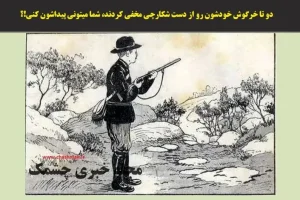 تست هوش | میخوای دقت رو بسنجی خرگوشای زبلو تو تصویر پیدا کن