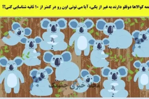 تست هوش | تفاوت کوالاهارو زیر 5 ثانیه پیدا کنی یک نابغه واقعی هستی