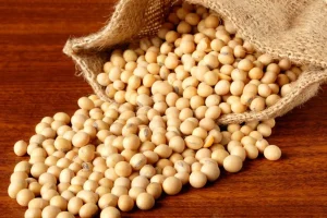 یک جایگزین عالی برای گوشت | اگر گوشت مصرف نمیکنید این خوراکی ارزان را جایگزین کنید