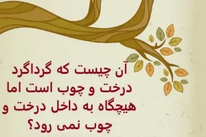 چیستان روز | آن چیست که گرداگرد درخت و چوب است اما هیچگاه به داخل درخت و چوب نمی رود؟