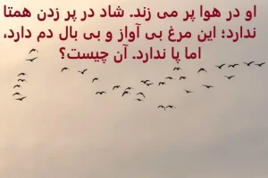 چیستان روز | او در هوا پر می زند شاد در پر زدن همتا ندارد؛ این مرغ بی آواز و بی بال دم دارد، اما پا ندارد. آن چیست؟