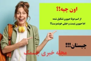 چیستان روز | اون چیه که از اسم دوتا حیوون تشکیل شده اما حیوون نیست و خیلی خوشمزست!؟