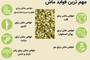 مصرف پلو با این دانه شما را 120 ساله می کند/ همه خواص درختان و گیاهان و گوشت حیوانات در این دانه جمع شده است