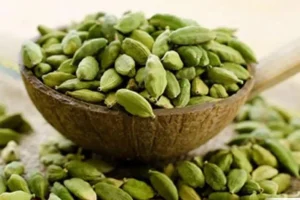 مصرف این گیاه جایگزین عمل دیسک کمر است + شافع کبد و کلیه و پادشاه مولتی ویتامین های جهان