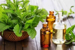 این روغن گیاهی یک داروخانه سیار است | شفای تمام بیماری ها فقط با یک روغن ارزان قیمت