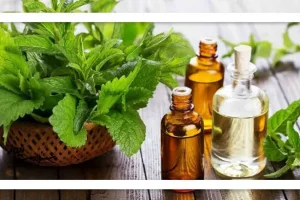 این روغن متخصص تقویت حافظه است | میخوای مغزت مثل ساعت کار کنه این روغن رو از دست نده