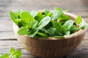 تمامی ویتامین ها در این سبزی جمع شده اند | با این گیاه غم و افسردگی و 100 بیماری را تار و مار کنید + لاغری تضمینی