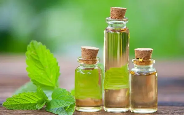 مصرف این روغن در ناشتای صبح مشکلات پوستی و جوش های سر سیاه و خارش را از بین می برد + رفع سردرد