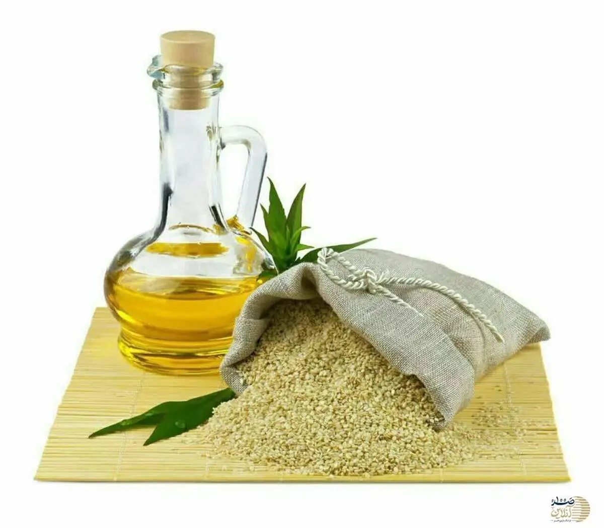 اگر محدودیت مصرف گوشت و لبنیات داریم این ماده ارزشمند را مصرف کنید | بهترین جایگزین گوشت که صد برابر آن مفیدتر و ارزان تر است