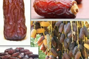 تمییز کننده اصلی کبد در ناشتای صبح این میوه گرم پادشاه است