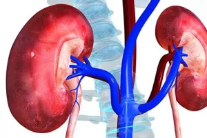 کلیه های سالم و صفرکیلومتر می خواهید ؟ بخوانید