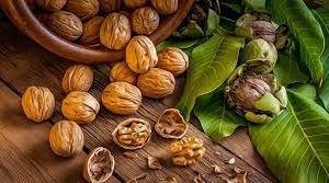 مصرف این دانه در صبح معده و کلیه و گوارش و کبد شما را 30 سال جوان می کند + لاغری آسان