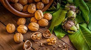 مصرف این دانه در صبح معده و کلیه و گوارش و کبد شما را 30 سال جوان می کند + لاغری آسان