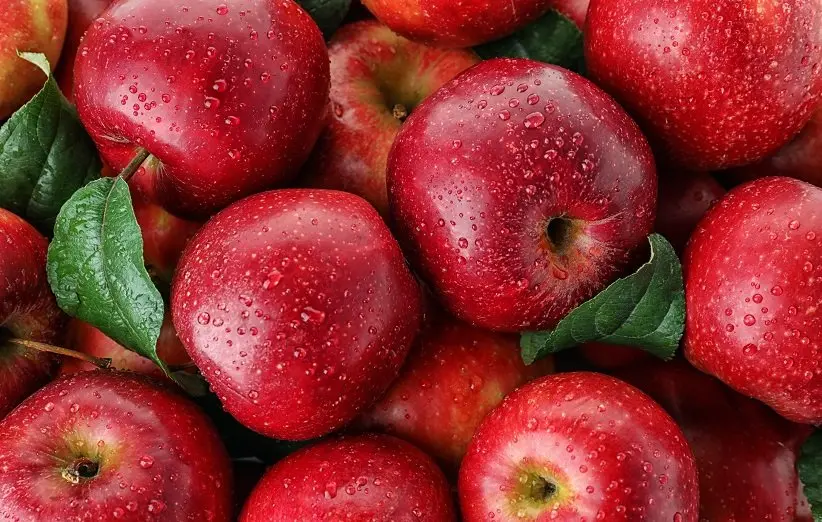 apples-1