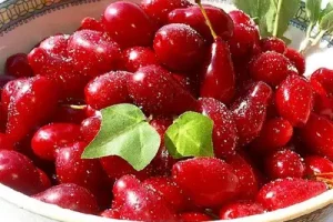 فصل میوه قاتل فشار خون فرا رسید / 12 روز فرصت دارید